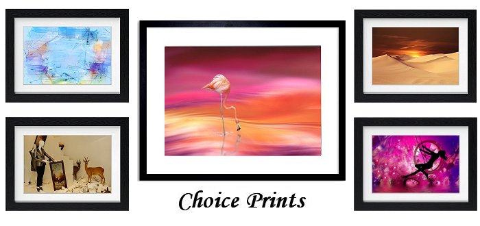 Choice Framed Prints